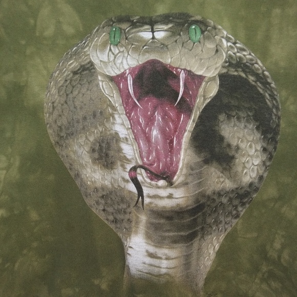 Snake Charmer Green Boys XL T-Shirt - Picture 2 of 6